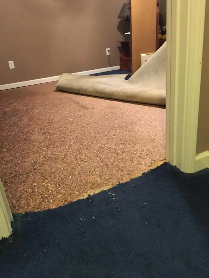 Carpet pad removal revealing water damage during Drying & Dehumidification in Southchase