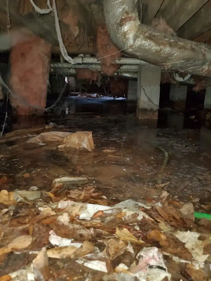 Crawl space flood assessment for Leak Detection & Repair in Southchase
